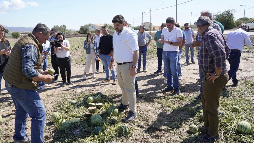 López Miras solicita al Gobierno de España declarar ‘zona catastrófica’ las áreas de cultivo afectadas por el granizo de Lorca