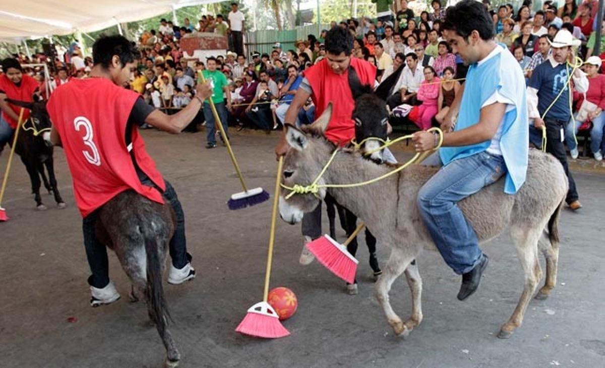 Unes persones de Ciutat de Mèxic juguen a polo amb escombres i muntats en burros. Des del 1960 se celebra a Mèxic un festival en què es realitzen activitats d’oci relacionades amb el burro, un animal que al seu dia era imprescindible al camp i que ara està sent reemplaçat per eines mecàniques.