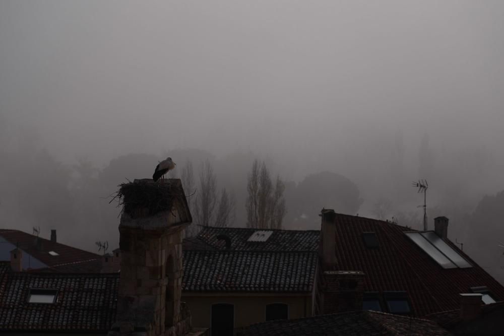 Zamora, bajo la niebla