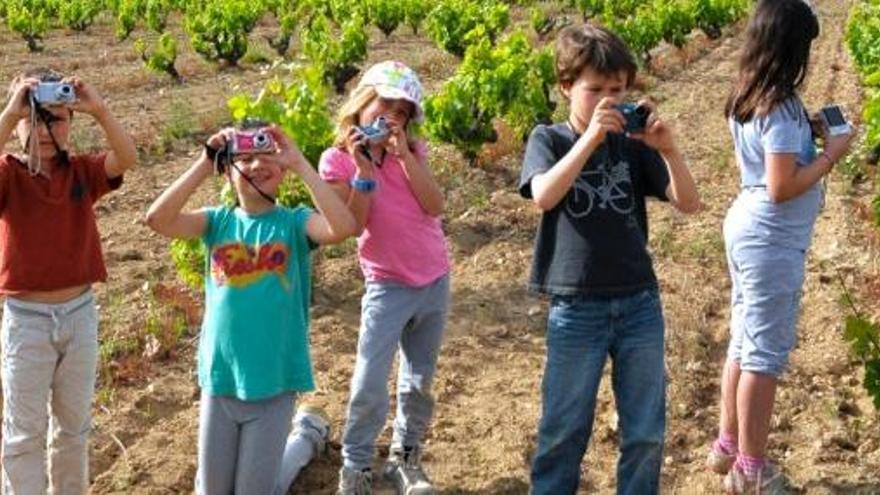 Es farà un taller de fotografia per a nens