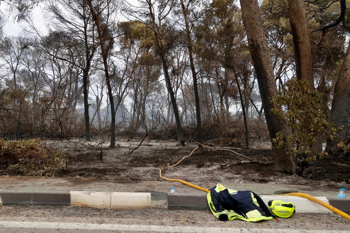 Las primeras imágenes del Saler tras el devastador incendio en la Devesa