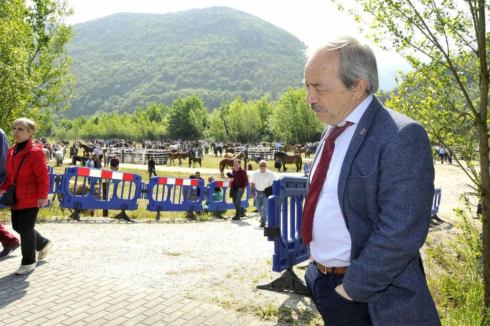 Feria de La Ascensión en Olloniego