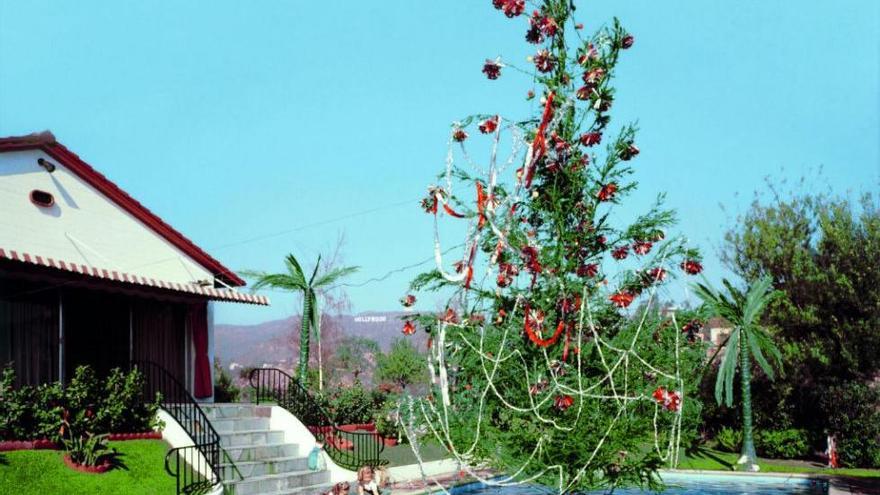 Piscina con árbol de Navidad, una escena de lo más californiana.