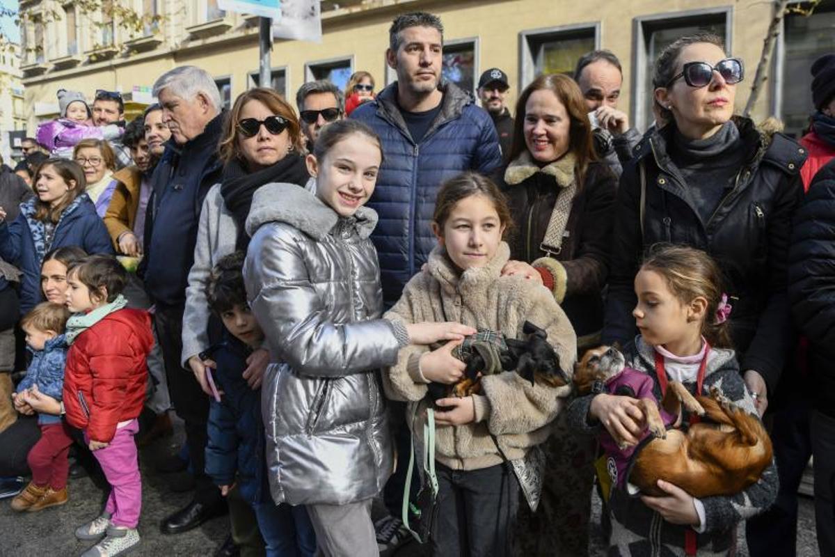 Bendición de animales en Els tres tombs