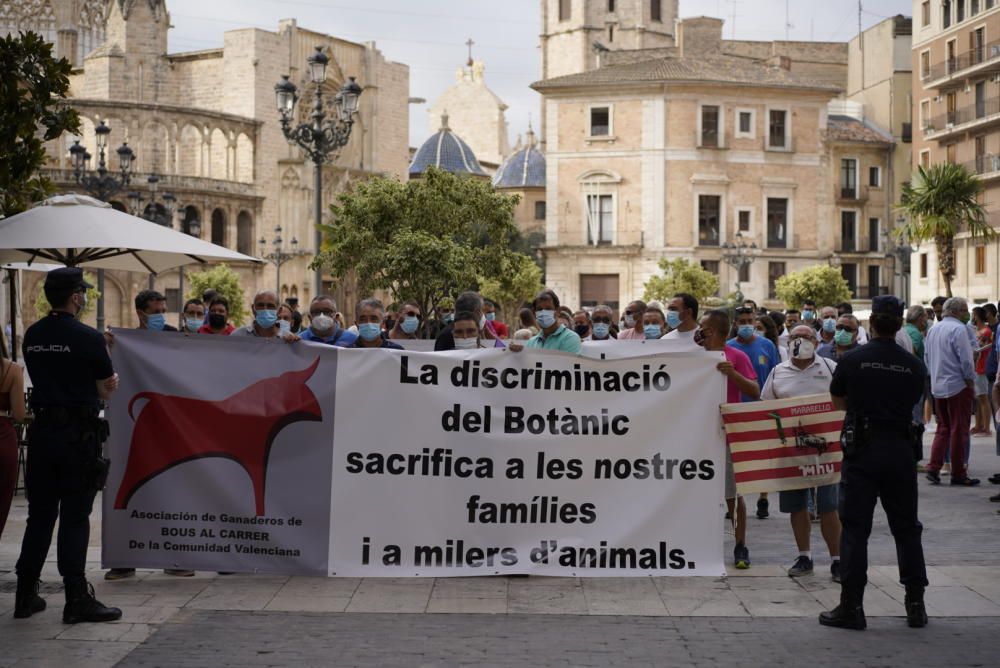 Protesta taurina y ganadera contra la falta de ayudas al sector en València