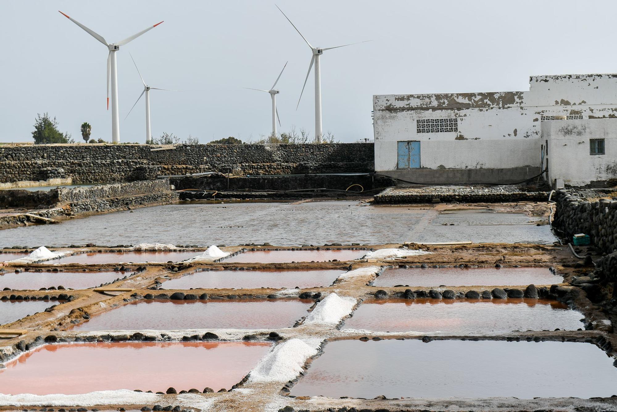 Salinas de Vargas