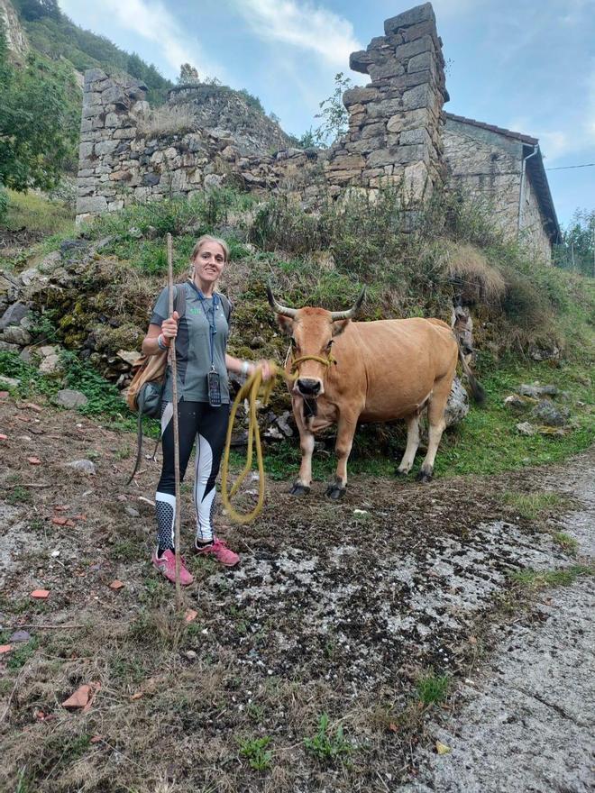 Lucía Velasco, días atrás, bajando a «Aldeana» a parir desde la braña de Cerreo a Perlunes, en Somiedo, donde ella vive en verano.