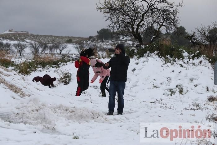 Nieve en Coy y Avilés (Lorca)