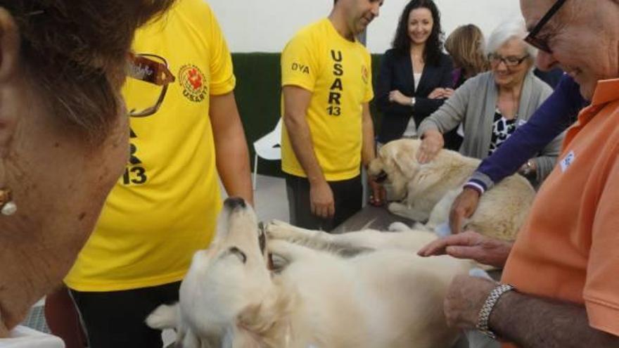 «Caninoterapia» en el Centro de Día de La Nucía