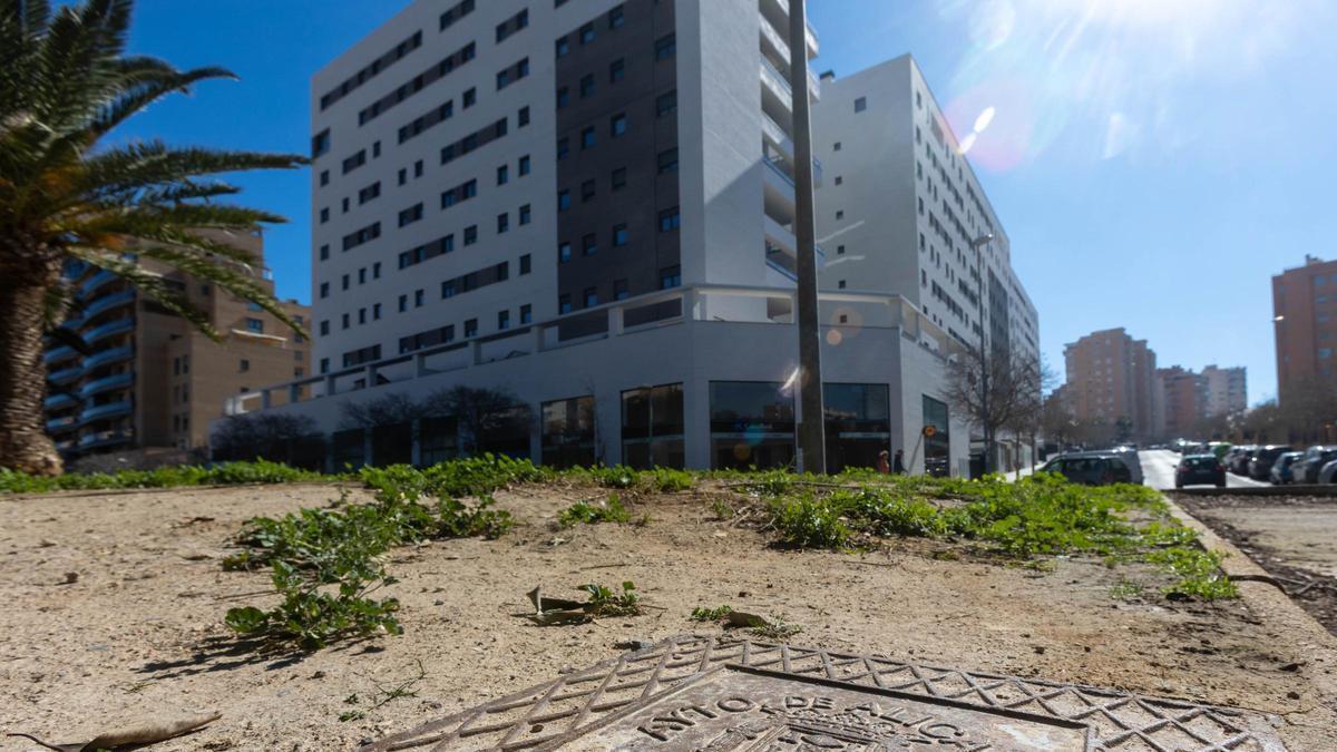La propuesta frente a las irregularidades que se debatirá en las Cortes tras las polémicas adjudicaciones de Les Naus en Alicante