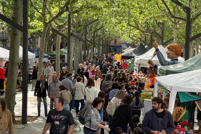 Les imatges de la diada de Sant Jordi a Olot