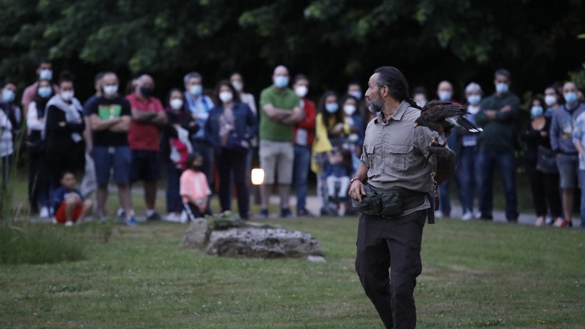 Espectáculo nocturno en el Jardín Botánico Atlántico de Gijón