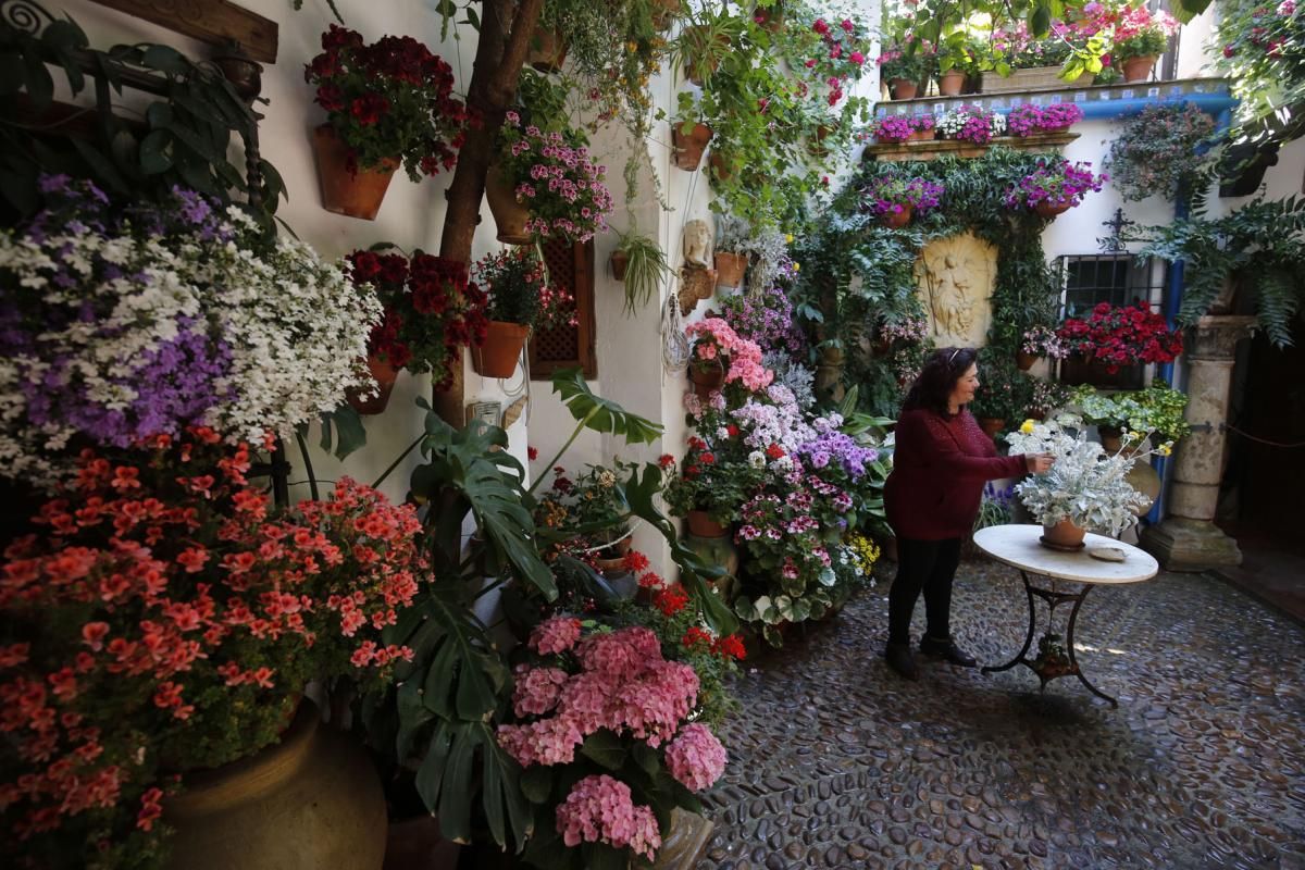 Paseando por los patios de San Lorenzo y San Rafael