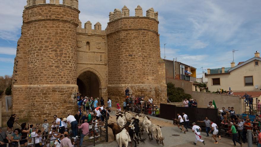 Encierro rápido, limpio y lucido en Villalpando