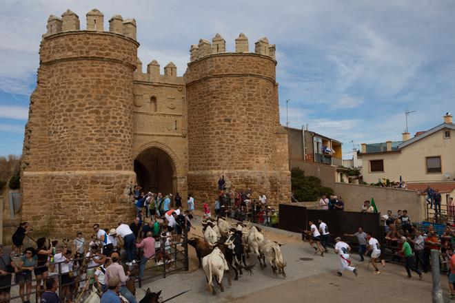 GALERÍA | Revive el segundo encierro mixto de las fiestas de Villalpando