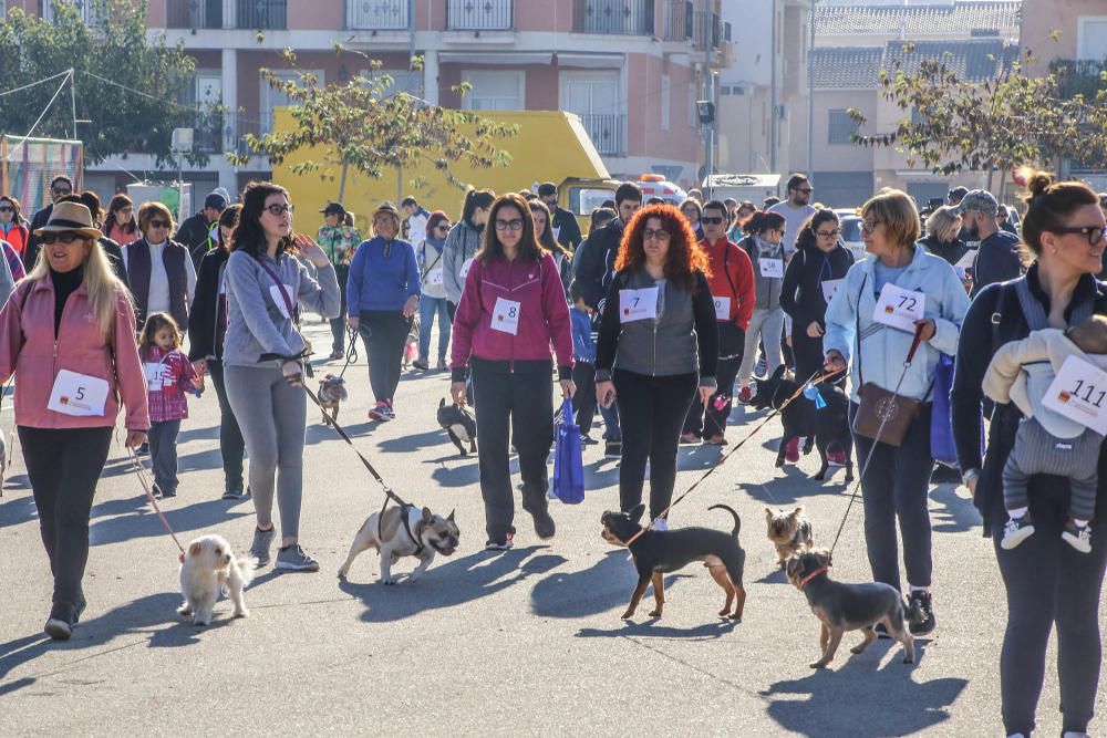 Almoradí celebra su primera Caminata Solidaria con animales