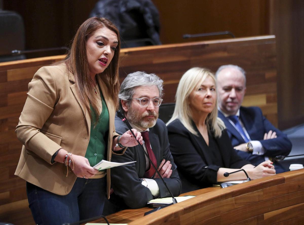 Los diputados de Vox (Carolina López, Javier Jové, Sara Álvarez Rouco y Gonzalo Centeno), en la Junta