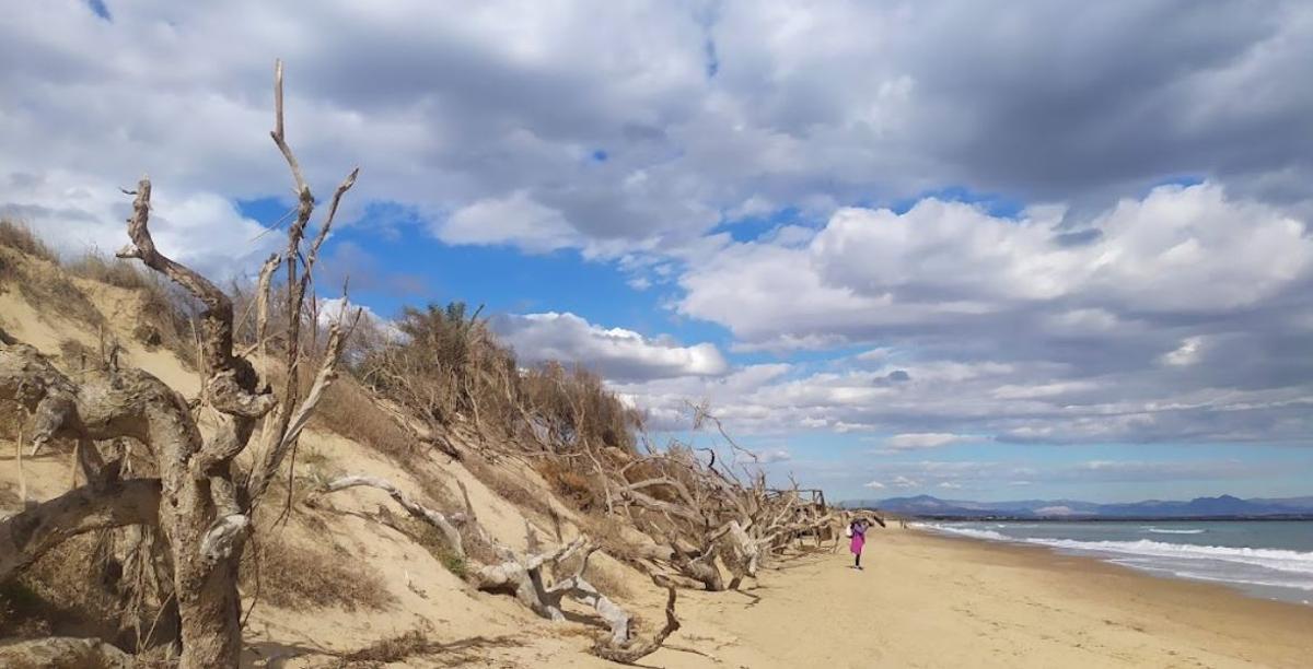 La playa Dels Vivers, en Guardamar del Segura