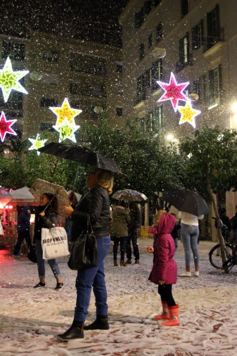 La plaza de las Flores, 'nevada' por Navidad