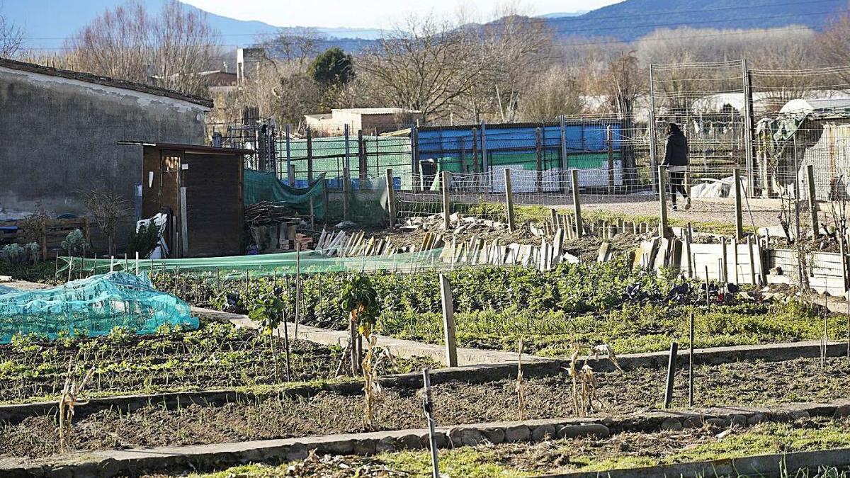 Parcel·les conreades a les hortes de Santa Eugènia de Girona.