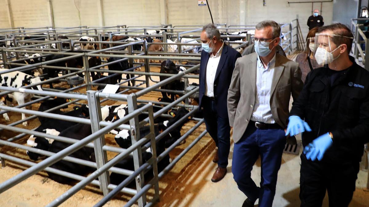 Alfonso Rueda, durante su visita a la subasta, acompañado de Ricardo Durán, director de la Fundación Semana Verde de Galicia. // Cedida