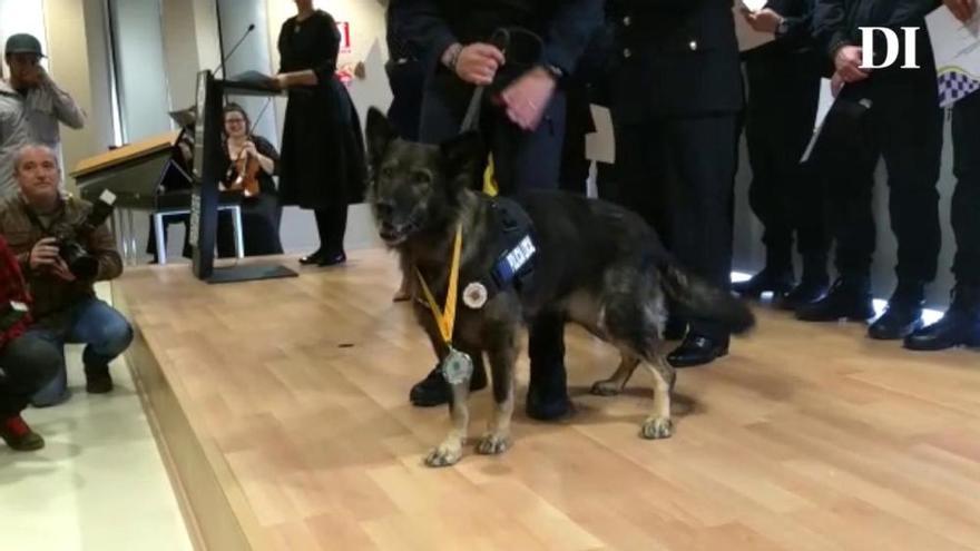 La perra policía Lala, condecorada