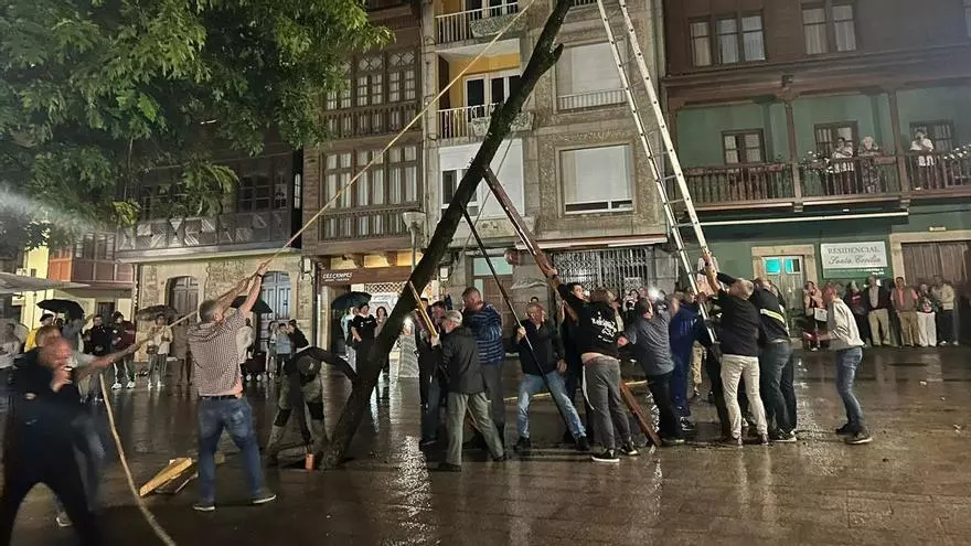 Los casaos de Pola de Siero plantan el roble por San Pedro y cantan “les sampedraes”