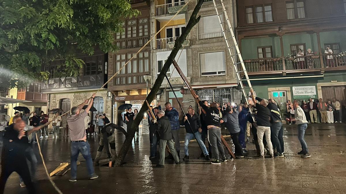 Los casaos de Pola de Siero plantan el roble por San Pedro y cantan “les sampedraes”