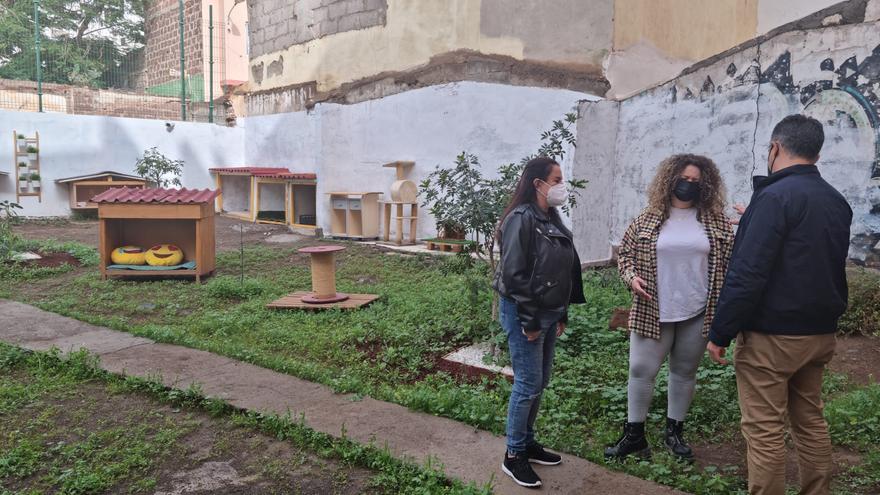Santa Cruz convierte un solar municipal en El Toscal en un hogar para gatos