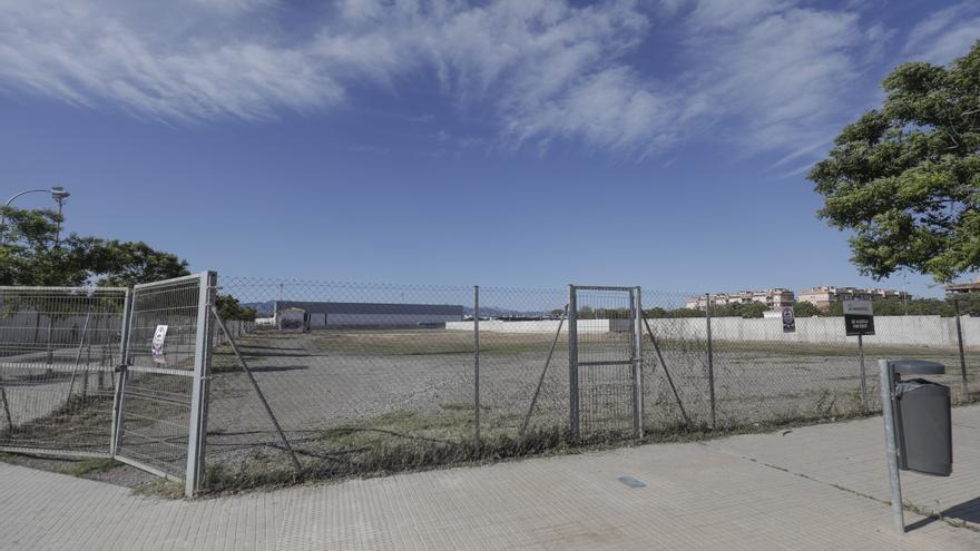 Así es el solar donde se montará el primer autocine de Palma