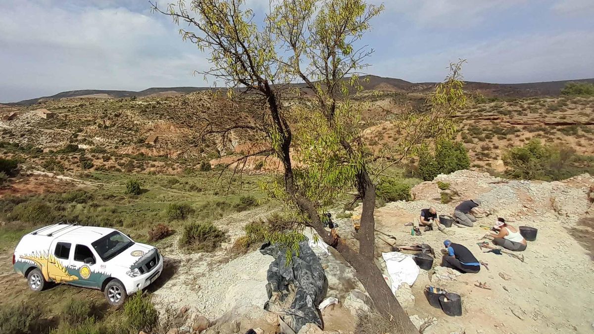 Excavaciones paleontológicas en el yacimiento El Carrillejo de Riodeva (Teruel).