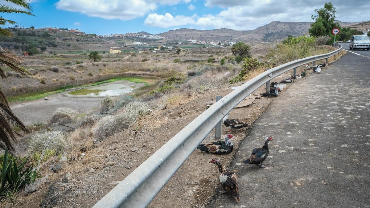 Estanco de barro de San Lorenzo en agosto pasado