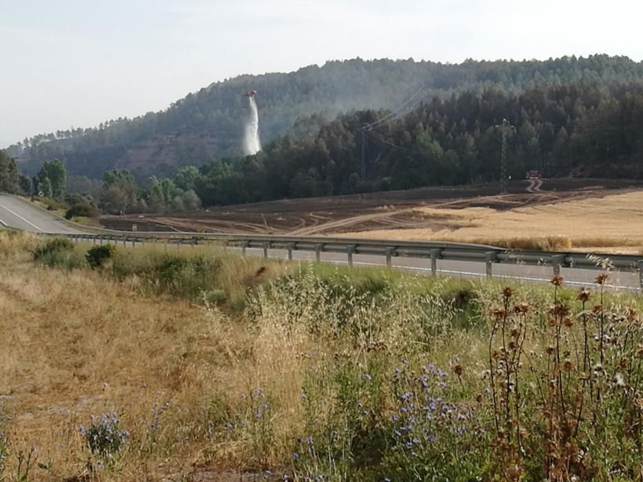 El paisatge a Avinyó, després del foc