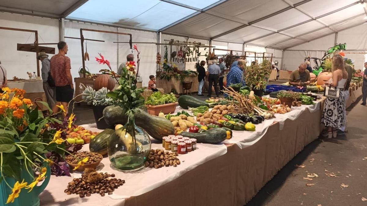 Un puesto con diferentes productos de la huerta.