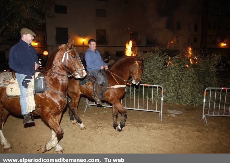 GALERÍA FOTOS - La provincia celebra Sant Antoni