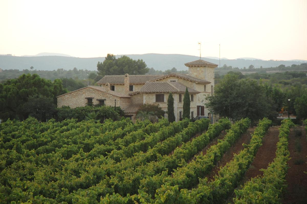 El evento tendrá lugar en el Clos d’Esgarracordes, un viñedo rodeado de naturaleza en les Useres.