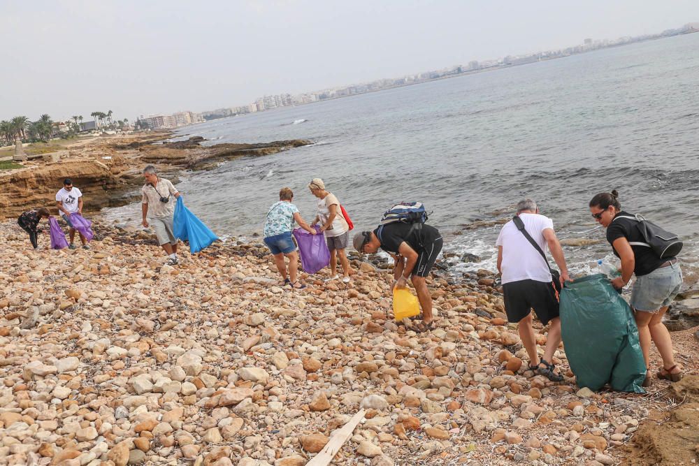 Limpieza del palmeral de Ferrís en Torrevieja