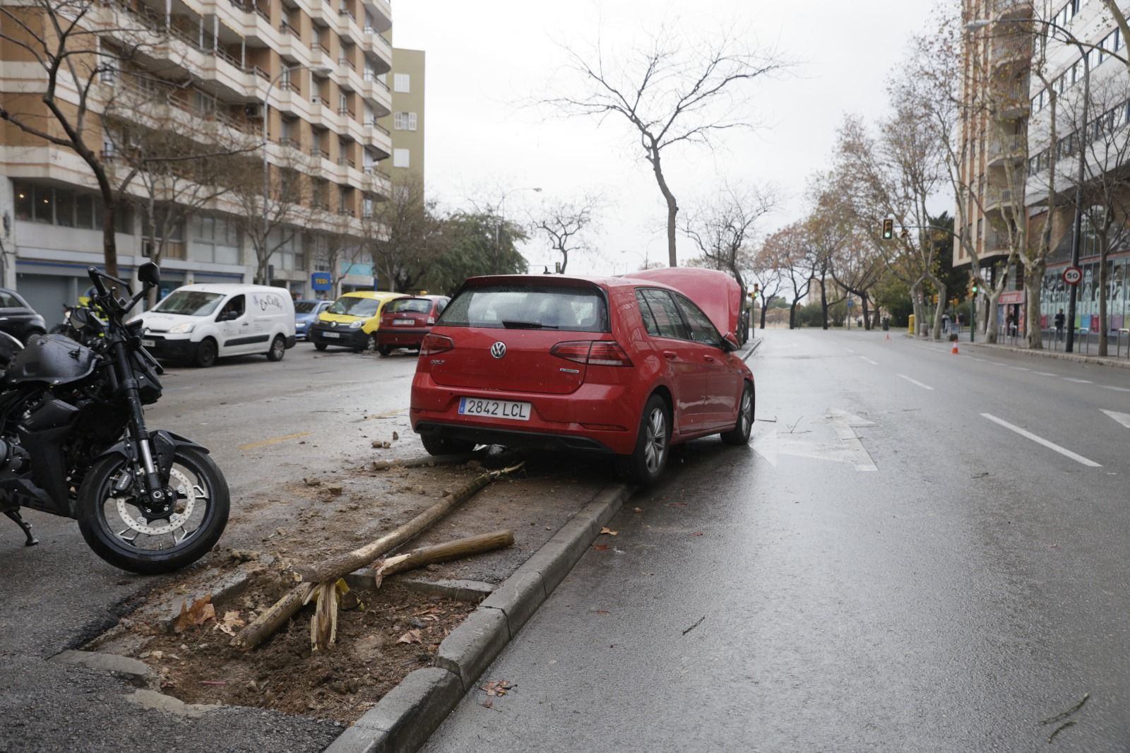 La Policía Local de Palma cierra las Avenidas por un derrame de aceite que ha ocasionado un accidente