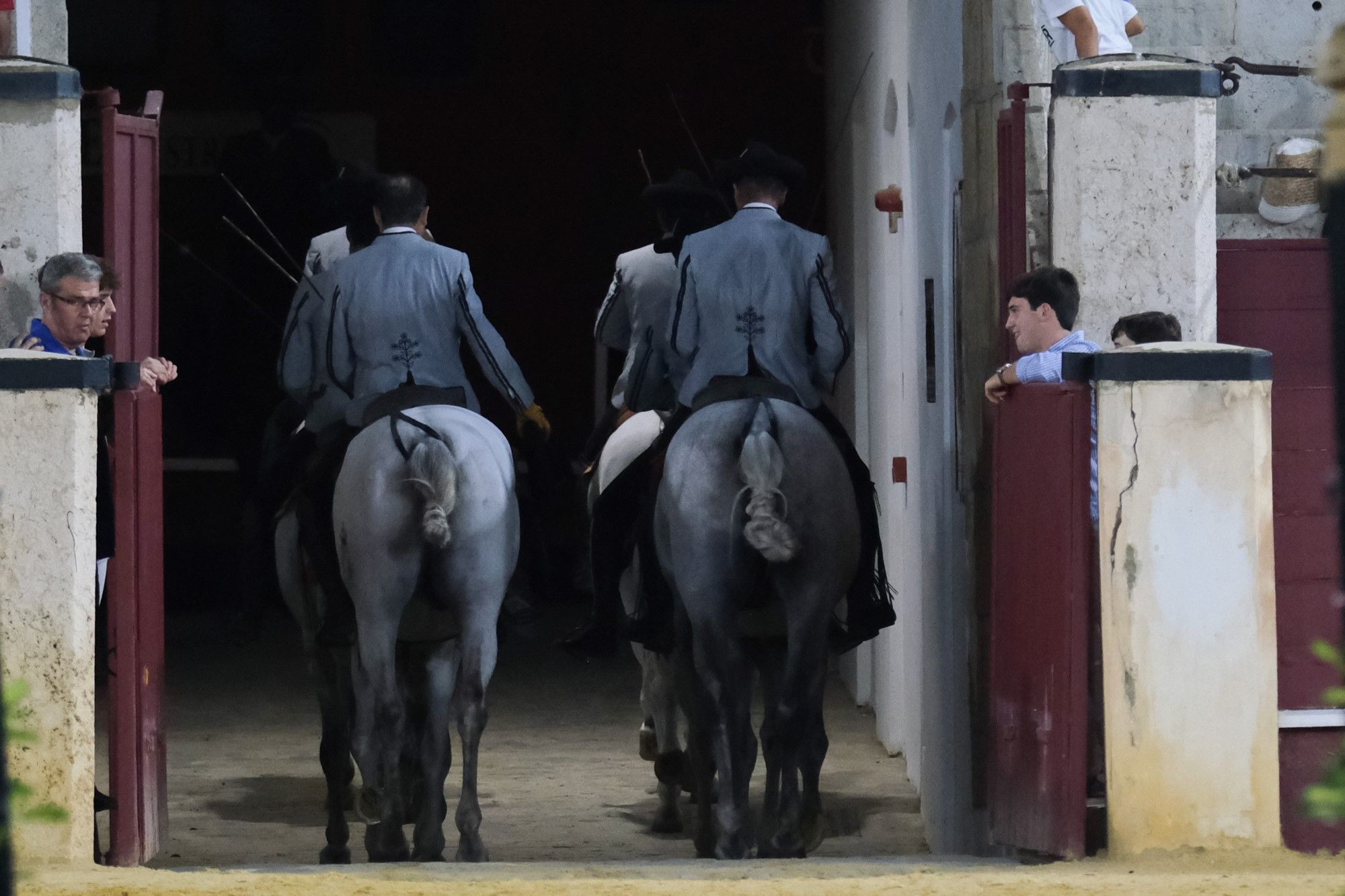 Los caballos andaluces bailan sobre el albero de La Malagueta