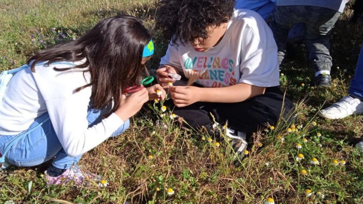 Los jóvenes estudiantes observan la flora autóctona. | M. I. S.