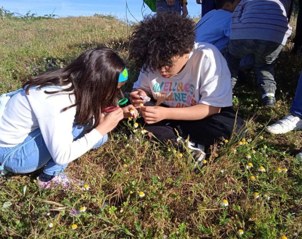 Los jóvenes estudiantes observan la flora autóctona. | M. I. S.