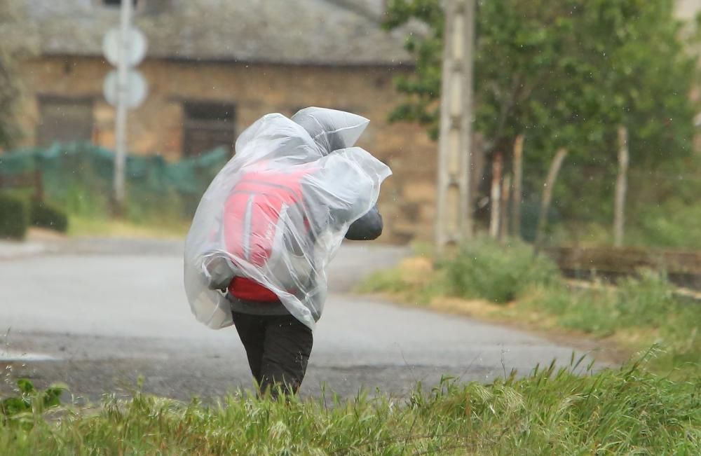 Incidentes por viento en Castilla y León