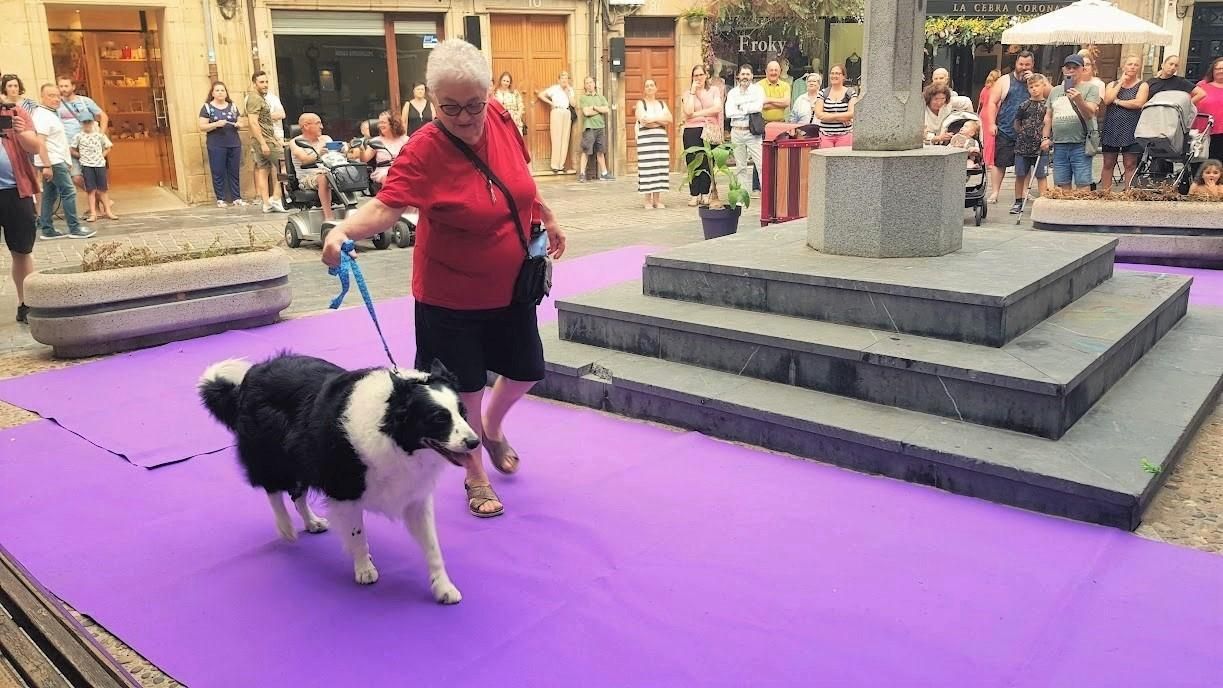 Villaviciosa se lo lleva de calle: ferias, desfiles y comercio en la calle en un fin de semana de gran afluencia de público