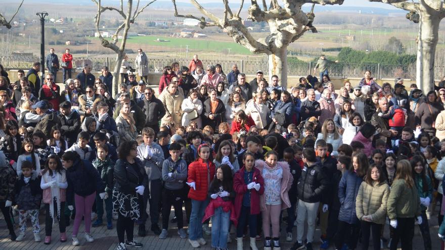 GALERÍA | Los colegios e institutos de Benavente celebran el Día de la Paz