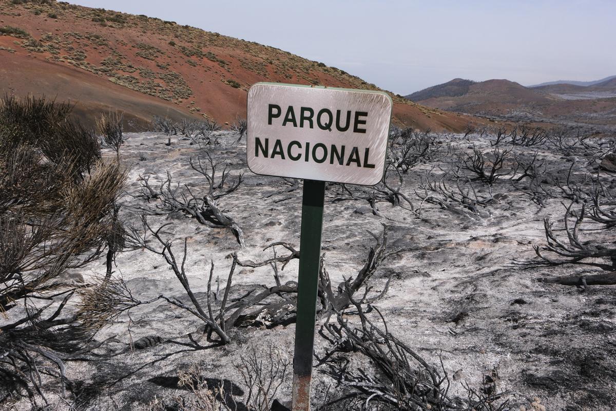 Estabilizado el incendio de Tenerife