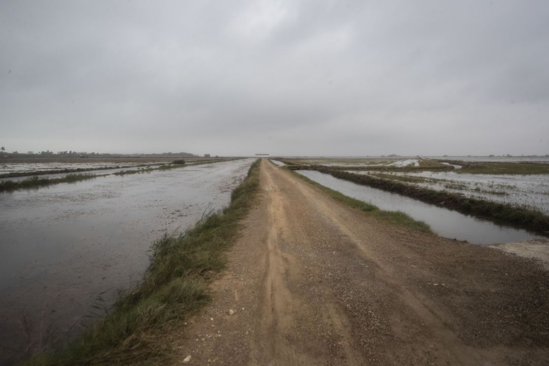 Caminos de l'Albufera, algunos cortados por la crecida del lago.