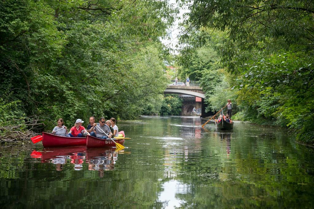 Alemania, verde, natural