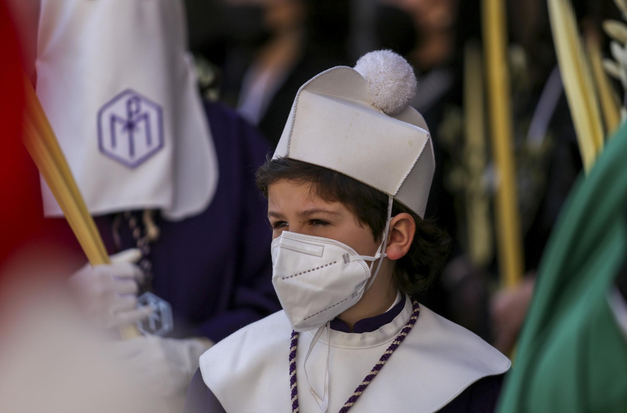 El Domingo de Ramos de Zaragoza, en imágenes