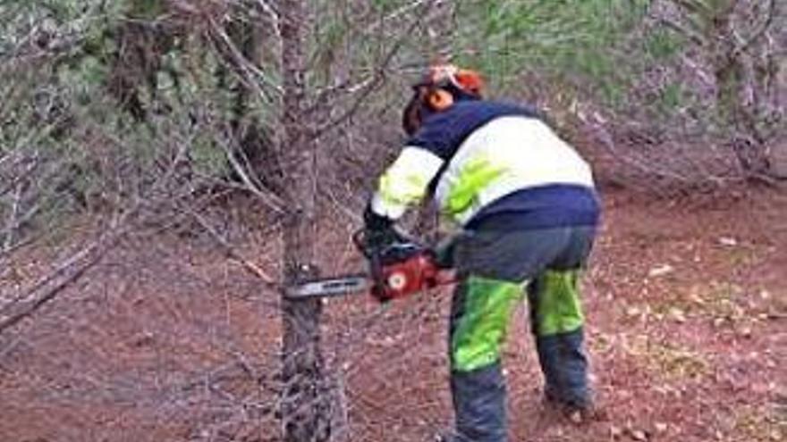 Cuatro localidades recuperan zonas verdes públicas para la mejora del bienestar social