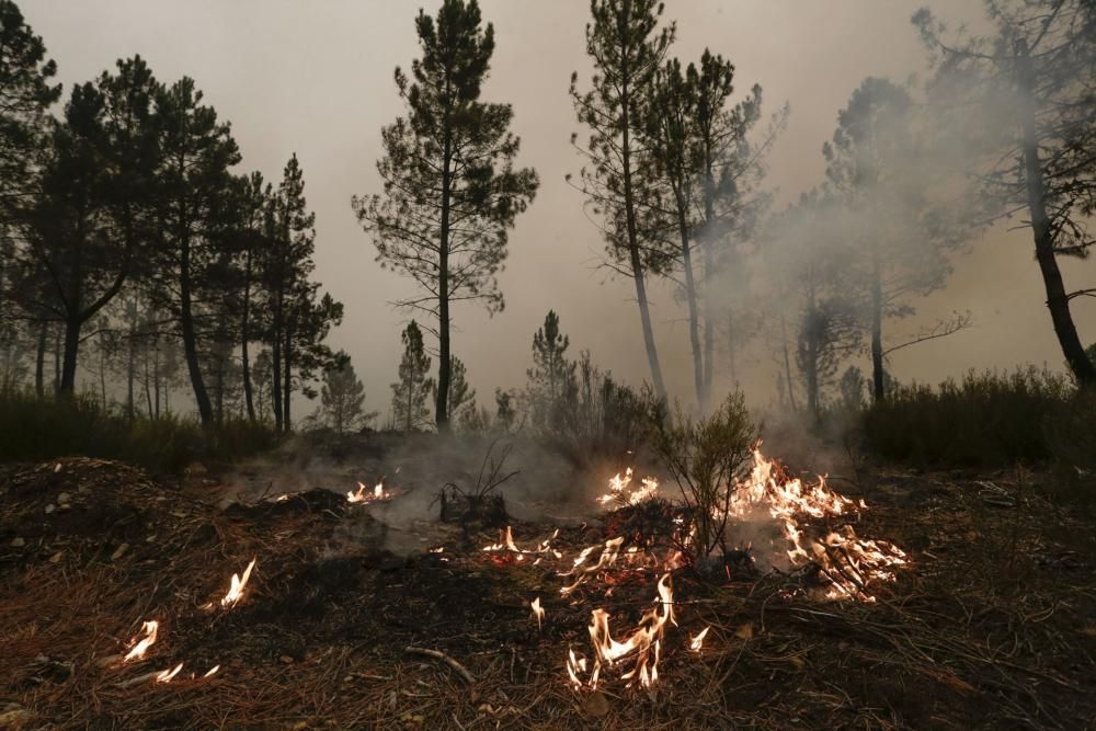 El suroccidente asturiano lucha contra las llamas